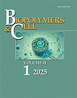 Biopolymers and Cell